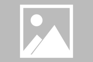 kaiyun官方网站-热传：姆巴佩打入12粒点球的简单介绍